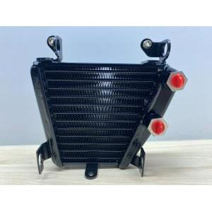 Radiatore olio originale  749 999   54840421a