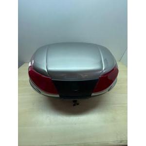 Bauletto metalizzato originale  48l 48lw07540100