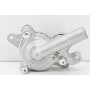 Gruppo pompa acqua originale  x-max 250 1c0e24200100