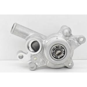 Gruppo pompa acqua originale  x-max 250 1c0e24200100