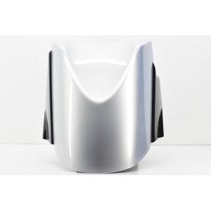 Parafango anteriore grigio elettrico  t-max xp 500 01 5gj21511002x