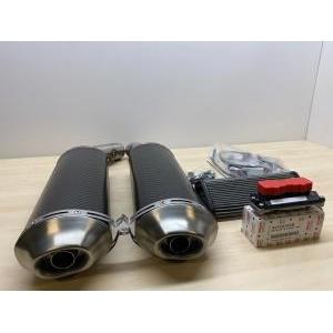 Kit silenziatori racing carbonio  performance du 1198s 96454209b