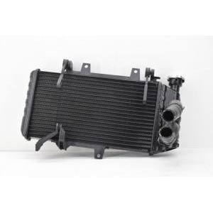 Radiatore completo di tubi e tappo originale  f 700 gs   17117678284