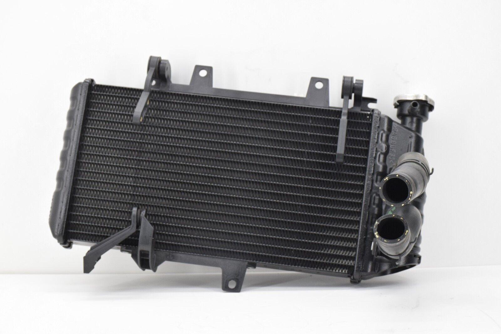 bmw radiatore completo di tubi e tappo originale bmw f 700 gs   17117678284 - foto 1