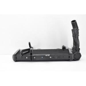 Radiatore completo di tubi e tappo originale  f 700 gs   17117678284