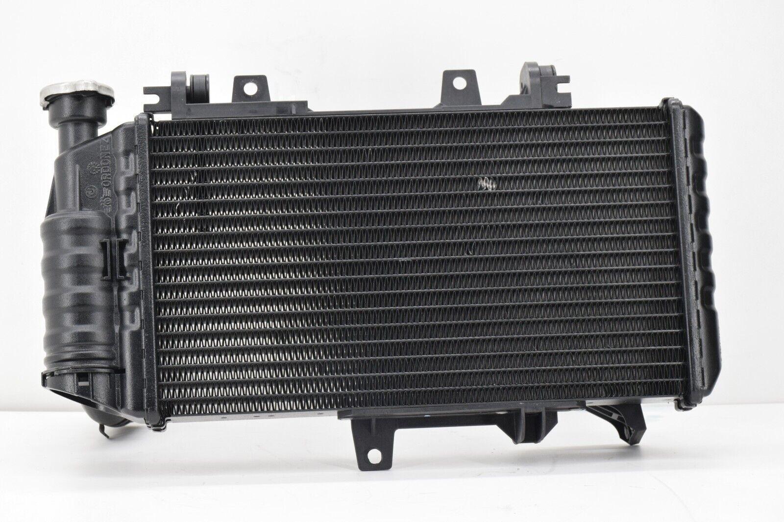 bmw radiatore completo di tubi e tappo originale bmw f 700 gs   17117678284 - foto 5