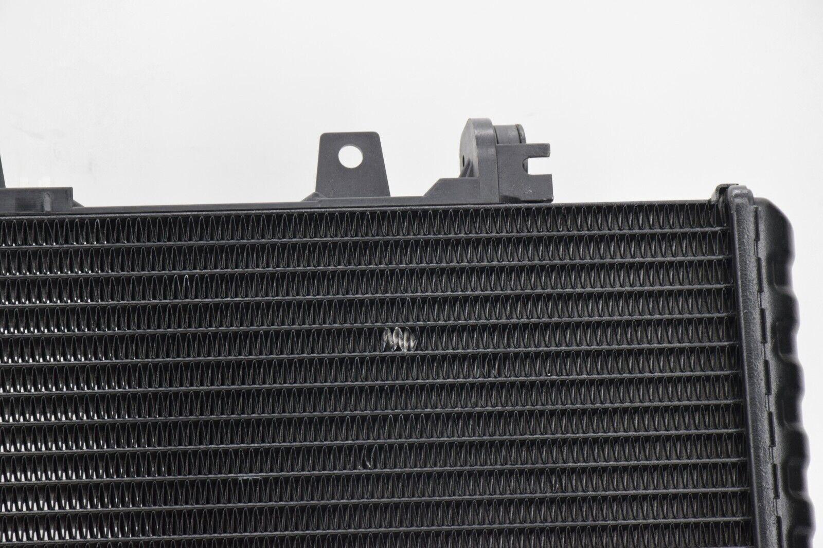 bmw radiatore completo di tubi e tappo originale bmw f 700 gs   17117678284 - foto 6
