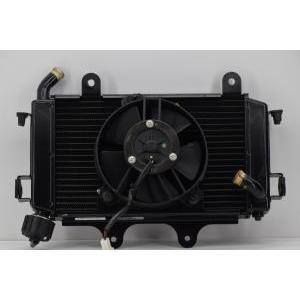Radiatore completo di ventola originale  duke 125 200 90635010033