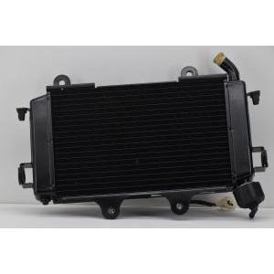 Radiatore completo di ventola originale  duke 125 200 90635010033