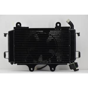 Radiatore originale  duke 125 2012 90635010033