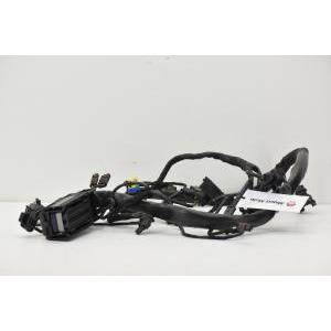 Impianto elettrico motore  f700gs f800gs 12518534523