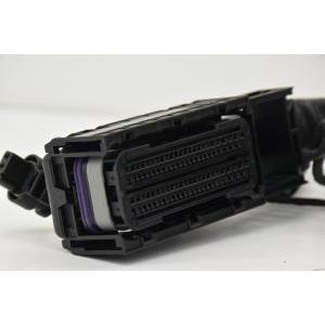 Impianto elettrico motore  f700gs f800gs 12518534523