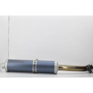Scarico silenziatore azzurro titanio originale  yzf r1 5jj147101100