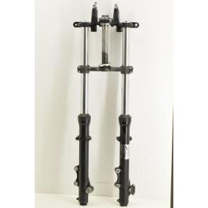 Forcella completa di piastre originale  550 81