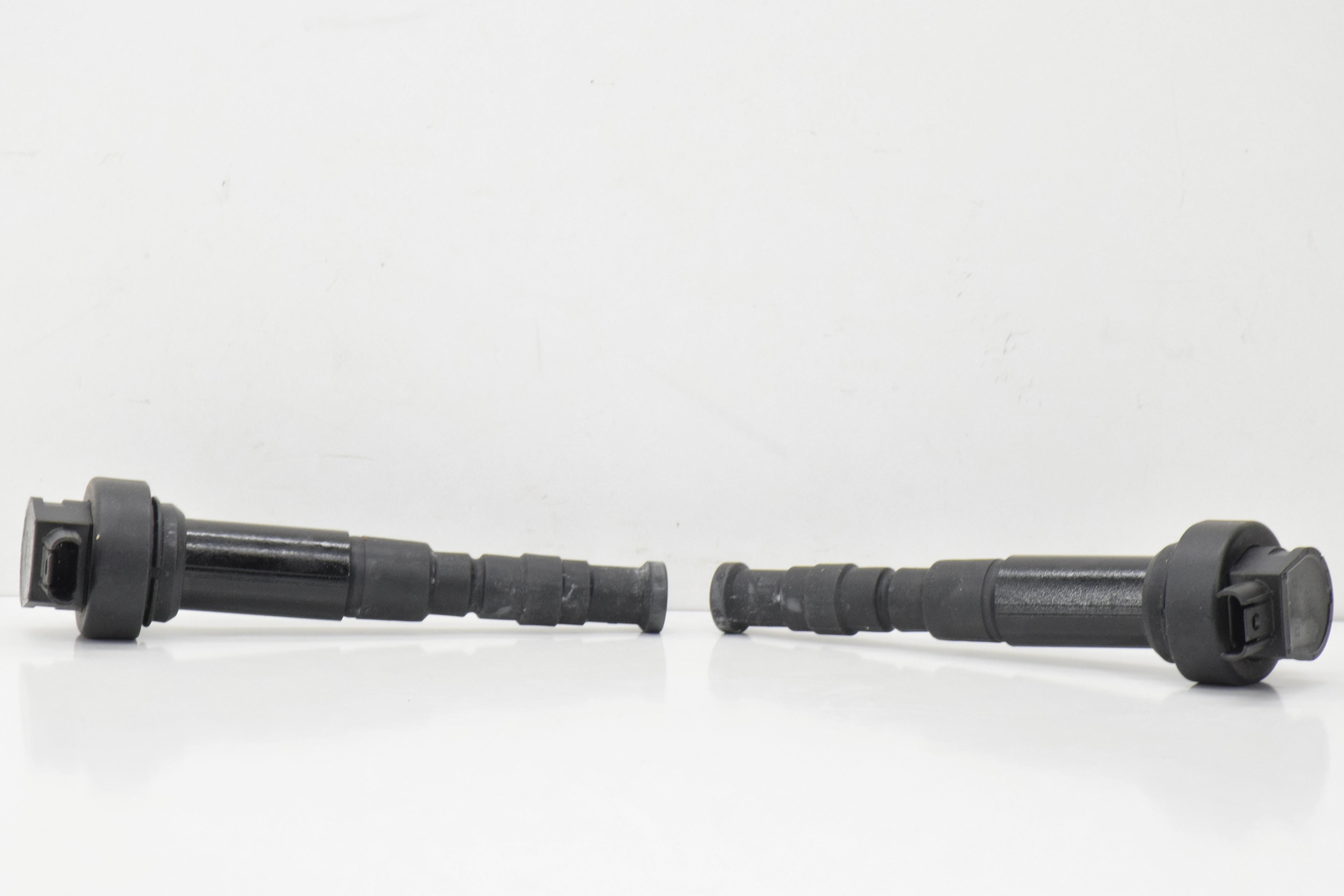 bmw coppia bobina pipetta originale bmw f 700 gs 11 12138523968 - foto 1